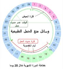 طرق منع الحمل الطبيعية وسائل طبيعيه لعدم حدوث حمل كيوت