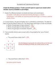 Complete the punnett square to help you answer the questions. Genetics Unit Codominance Worksheet Nidecmege