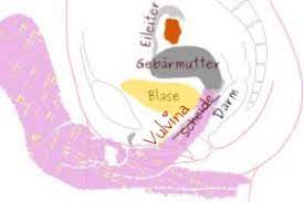 Er schützt die gebärmutter vor keimen, ist ein indiz für fruchtbare tage und öffnet sich, wenn die geburt losgeht. Was Dein Muttermund Dir Sagen Will Schwangerwerden Tipps
