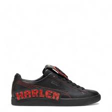 Image result for Puma 30