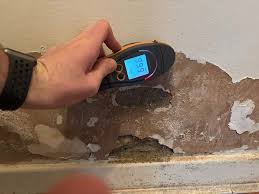 What Is Woodworm? Identification & Treatment Guide | APS Glasgow