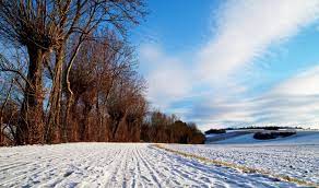 обои : Зима, Schnee, Schneelandschaft, Eizingen, B ume, Weg,  Wirtschaftsweg, Strasse, Himmel, Blau, Spuren, Weiss, снег, Чисто, холодно,  ходить, Laufen, Wandern, Фото, Местный совет, пейзаж 5422x3198 - - 646239 -  красивые картинки - WallHere