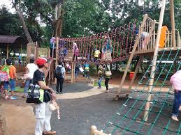 Bagaimana jadinya jika sebuah rumah tanpa sebuah taman? Wahana Koleksi Hewan Harga Tiket Masuk Ragunan Terbaru 2020