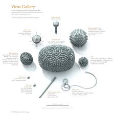Bryan Christie Microbiology Biology Resources Fun Science
