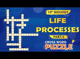 Themed crossword puzzles with a human touch. Biology Crossword Puzzles 9th Grade Detailed Login Instructions Loginnote