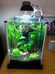 Dengan aquarium mampu menghadirkan nuansa alam kedalam rumah. Aneka Model Aquarium Artificial Rock From Ats Looks Better Than The Real Thing Reef Builders The Reef And Saltwater Aquarium Blog Aneka Aquarium Garut Kota Garut William Stalls