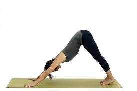 Flow Sequence Of Classic Standing Poses For Home Practice Standing Yoga Poses Essential Yoga Poses Morning Yoga Poses
