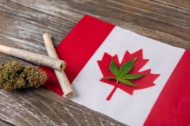 Santé canada, sc) is the department of the government of canada responsible for the country's federal health policy. Health Canada Just Failed The Marijuana Industry Again The Motley Fool