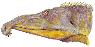 Image result for Proterosuchus
