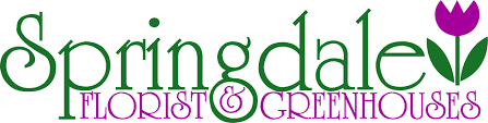 Stamford, ct 6902 edgehill health center 122 palmers hill rd. Darien Florist Flower Delivery By Springdale Florist Greenhouses