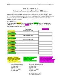 C a u g c g c a u a u g g c u g u a a g codons. This Is A Worksheet Covering From Dna Replication To Mutations Students Will Learn The Process Of Dna Replication Transcription Transcription And Translation