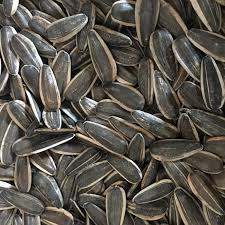 Your own sunflowers are always more beautiful and nicer to look at than the sunflowers you buy at the flower shop. Different Types Of Sunflower Seeds 363 361 601 5009 3939 Buy Hulled Sunflower Seeds Sunflower Seed Chinese Sunflower Seeds Product On Alibaba Com