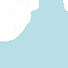 Image result for Mimulopsis arborescens