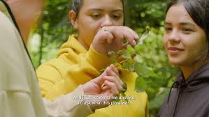 Hornbeck Boats: Lightest Boats in the Deep Woods