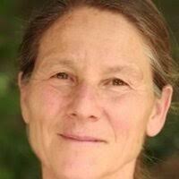 Gesundheitsversorgung unter Beschuss