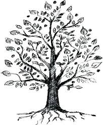 Easy To Draw Tree Easy Tree Drawing Easy Tree Drawing Step By Step How To Draw Palm Tree For Kids Easy Tree Drawing Easy Tr Cool Drawings Tree Drawing Drawings