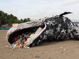 Image result for plastic in ocean