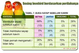 Meskipun keseruan foto itu nampak biasa, namun foto itu bisa mengubah mood anda, dari yang awalnya murung bisa berubah senang ketika melihatnya. Beda Jantan Betina Lovebird Berdasarkan Perbedaan Perilaku Om Kicau