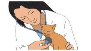 Aku ingin jadi pemadam kebakaran bhuana ilmu populer. Kunci Jawaban Tema 6 Kelas 4 Sd Halaman 2 3 4 5 7 8 Buku Tematik Subtema 1 Aku Dan Cita Citaku Halaman All Tribunnews Com Mobile