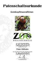 We did not find results for: Zoo Braunschweig Patenschaften
