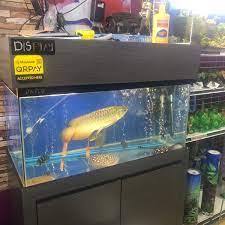 Boon aquarium, sungai petani, kedah, malaizija — atrašanās vietu kartē, atsauksmes. Aqua Brother Taman Tunku Haminah