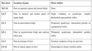 Neurological Testing Lumbar Spine Assessment