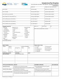 Care plan template with input from care home staff. Free 16 Patient Care Plan Templates In Pdf Ms Word