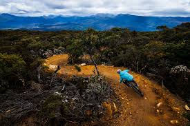 Accidental Tasmania, Canadian Scott Thornhill Reflects