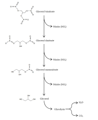 Image result for Glyceryl trinitrate