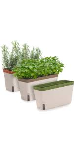 In addition, the mediterranean ones will like staying drier under the eaves in areas of high summer rainfall. Amazon Com Windowsill Herb Planter Box Set Of 3 Rectangular Self Watering Indoor Garden For Kitchens Grow Plants Flowers Or Succulents Large Water Reservoir Kitchen Dining