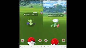 Roselia is a grass and poison type pokémon. Roselia Community Day Pokemon Go Youtube