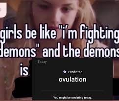 unhinged fairy meme jail