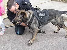 Toronto Police Service Wikipedia