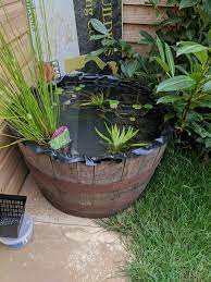 Making Small Raised Pond Not Sure How To Give Access To Frogs Etc Gardening Garden Diy Home Flowers Raised Pond Garden Inspiration Brick Patterns Patio