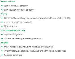 Image result for Muscle Weakness Causes