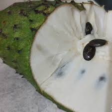 Buah durian belanda baru baru ini banyak dimanfaatkan menjadi jus. Cun Hui Khasiat Dan Manfaat Durian Belanda Untuk Kanker Manfaat Durian Belanda Tahukah Anda Apa Itu Durian Belanda Durian Belanda Di Indonesia Disebut Dengan Sirsak Atau Dalam Bahasa Inggris Nya Disebut