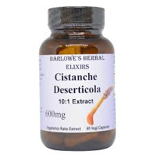 Image result for Cistanche
