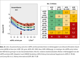 Kdigo stadien der chronischen niereninsuufizienz. Herzinsuffizienz Niere Und Leber Allgemeine Innere Medizin Universimed Medizin Im Fokus
