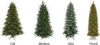 how to pick the right christmas tree christmas central