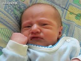 Nidzica. Witajcie na świecie