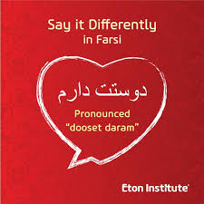 Learn To Say I Love You In Farsi Persian This Valentine S Day Learn Persian Persian Language Learn English Words