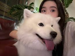 Safe travel to Spain tomorrow