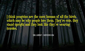 95369438 our unique ceramic coffee mugs will soon be your new favorite way to consume hot or cold beverages. Top 13 Love Penguins Quotes Famous Quotes Sayings About Love Penguins
