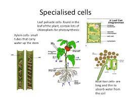 We did not find results for: Gcse Aqa Biology Unit 2