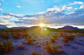 Wiley Mosley: Western Regional Manager Bicycle Division in austin, TX