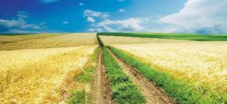 Agentia pentru finantarea investitiilor rurale. Ministrul Agriculturii Trimite Corpul De Control La AgenÅ£ia Pentru FinanÅ£area InvestiÅ£iilor Rurale AnchetÄƒ Privind Sistemul De Depunere Online A Proiectelor Capital