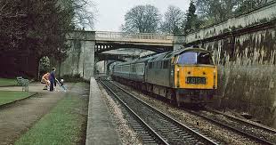 Western Fusilier Passes Sydney Gardens Bath Sydney Gardens British Rail Westerns