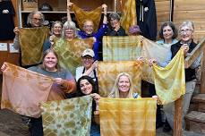 Fungi & Color: From Forest Forage to Handcrafted Dyes