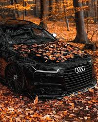 Audi S Instagram Profile Post Audi A6 Or A7 Which One Do You Like The Most A6 Owner Dav 697 A7 Owner Dani Audi Rs6 Luxury Cars Audi Dream Cars Audi
