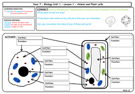 This video details the structure and various functions of the organelles within a plant cell and all the knowledge for the aqa syllabus for gcse plant cells. Aqa Gcse Biology Cell Biology Animal And Plant Cells Teaching Resources